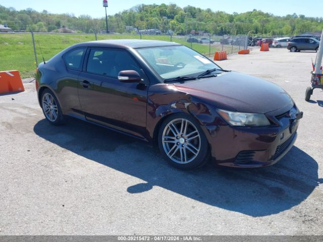 SCION TC 2013 jtkjf5c74d3056657