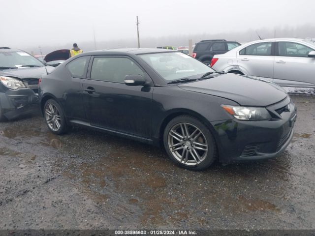 SCION TC 2013 jtkjf5c74d3060840