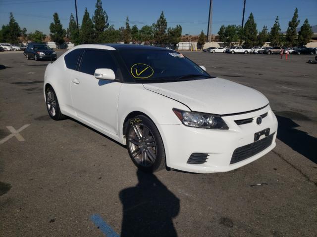 SCION TC 2013 jtkjf5c75d3049183