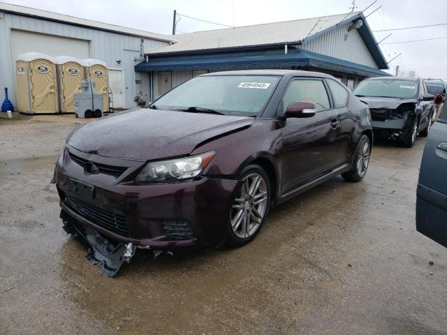 SCION TC 2013 jtkjf5c75d3049622