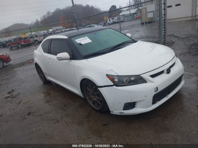 SCION TC 2013 jtkjf5c75d3053542