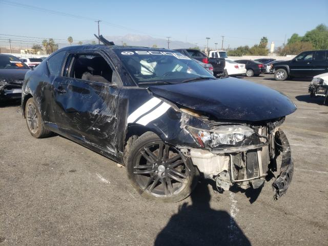 SCION TC 2013 jtkjf5c75d3065173