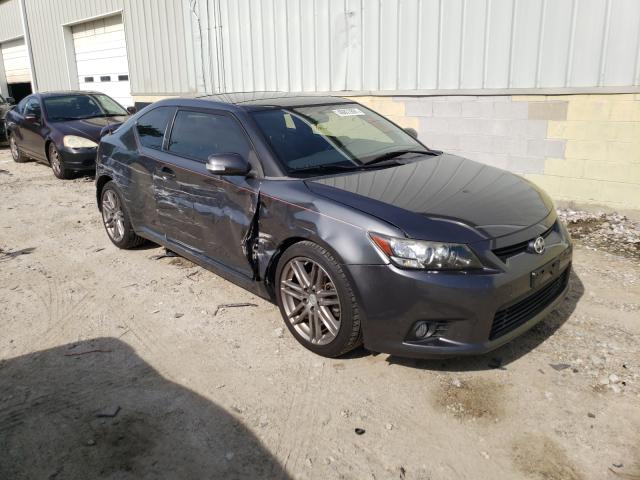 SCION TC 2013 jtkjf5c76d3052786