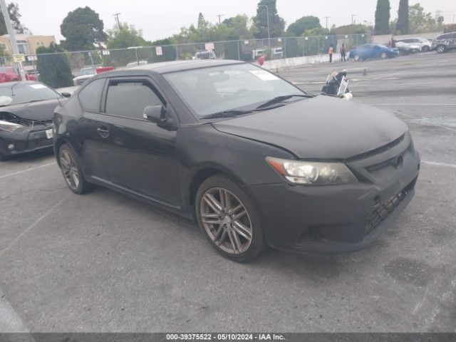 SCION TC 2013 jtkjf5c76d3053520