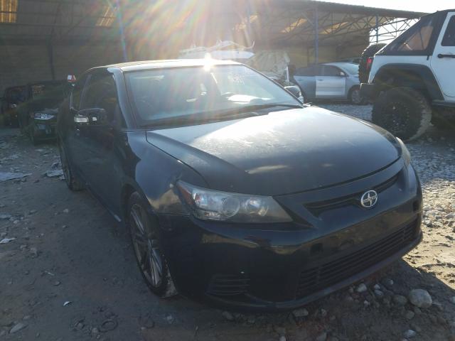 SCION TC 2013 jtkjf5c76d3065392