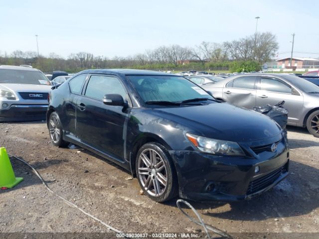 SCION TC 2012 jtkjf5c77c3038474