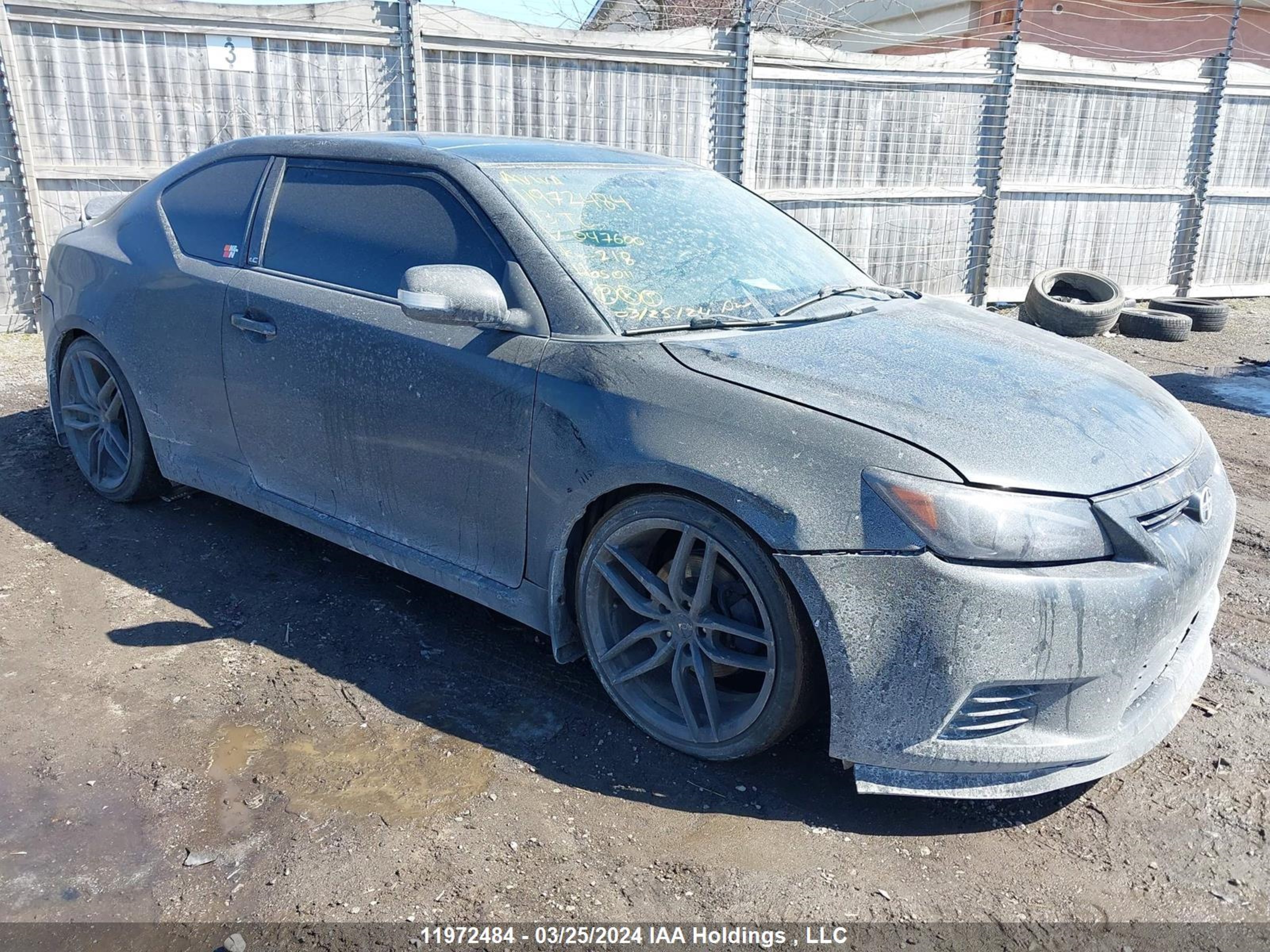 SCION TC 2013 jtkjf5c77d3047600