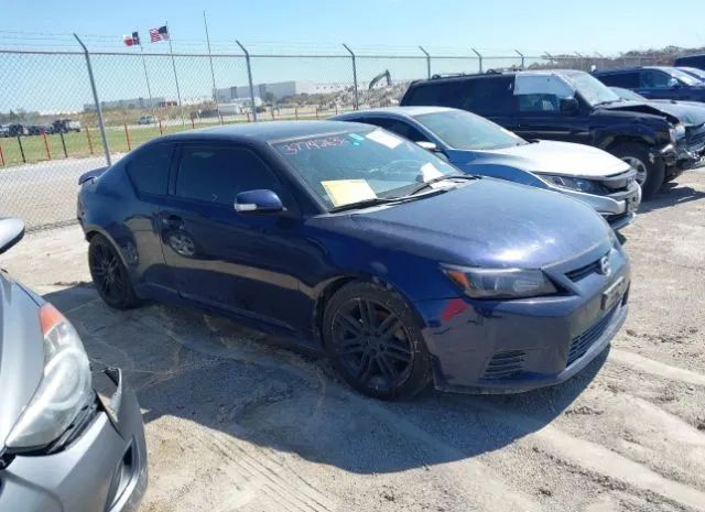 SCION TC 2013 jtkjf5c77d3062548