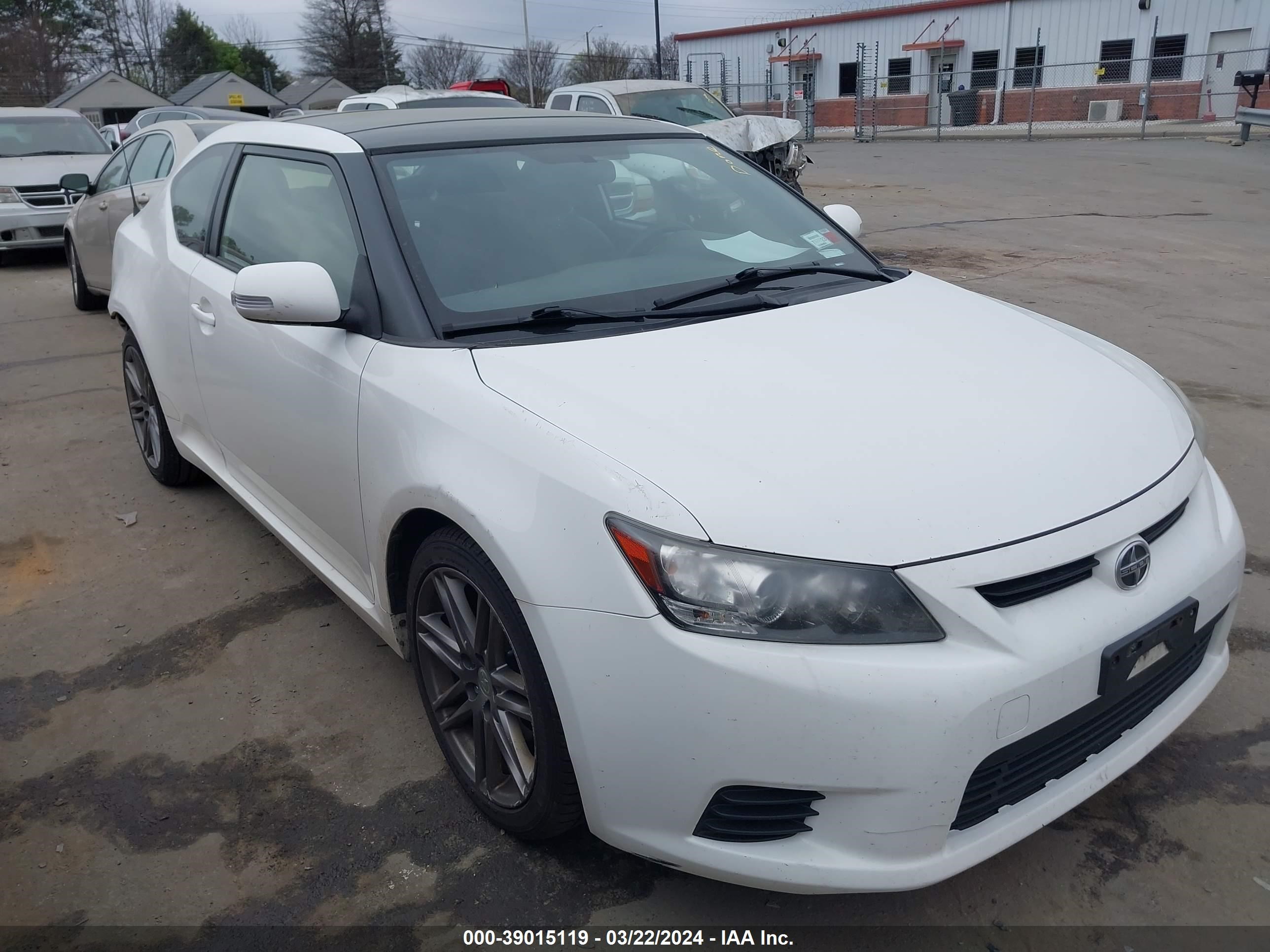 SCION TC 2013 jtkjf5c77d3064428