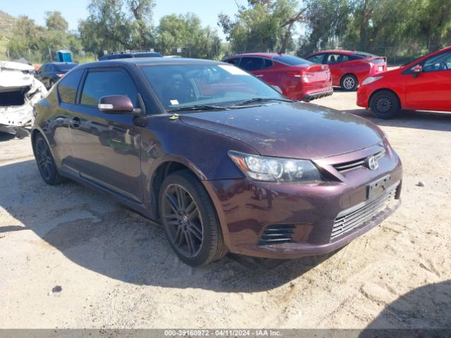 SCION TC 2012 jtkjf5c78c3036488