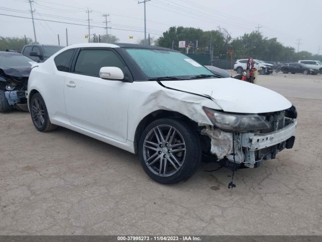 SCION TC 2013 jtkjf5c78d3046925