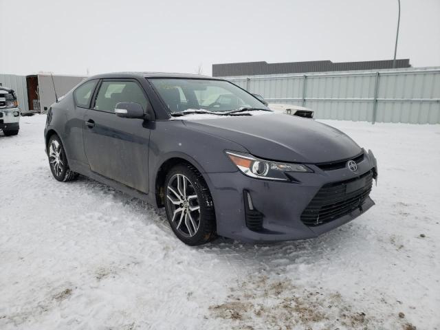 TOYOTA SCION TC 2016 jtkjf5c79gj021015