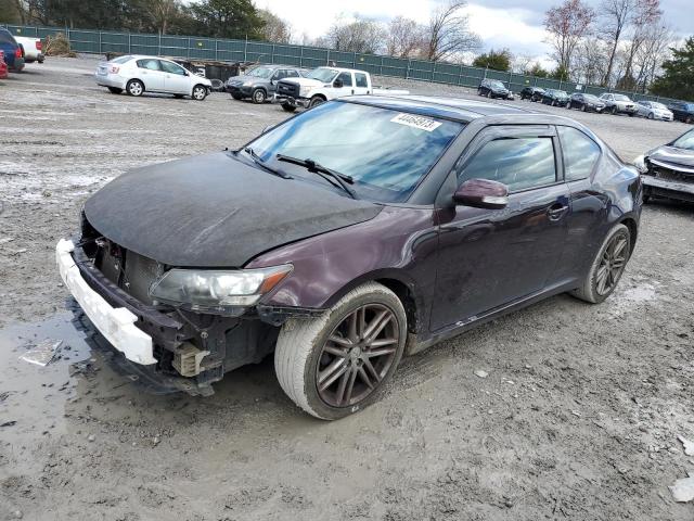 TOYOTA SCION TC 2011 jtkjf5c7xb3002387