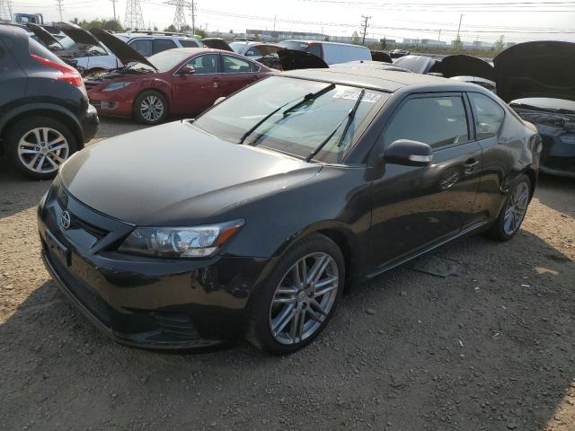 TOYOTA SCION TC 2013 jtkjf5c7xd3045842