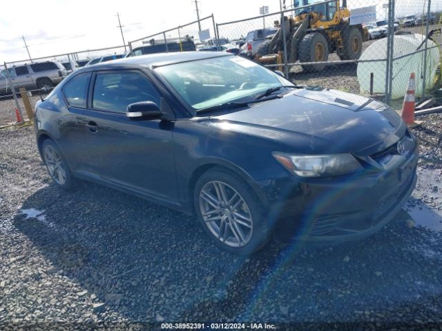 SCION TC 2013 jtkjf5c7xd3055884