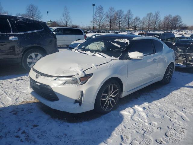 TOYOTA SCION TC 2014 jtkjf5c7xe3074002