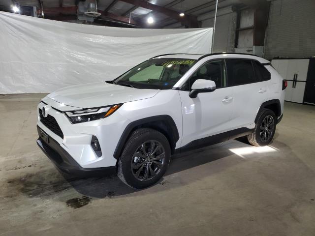 TOYOTA RAV4 2023 jtmb6rfv2pj031754