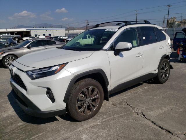 TOYOTA RAV4 2023 jtmb6rfv3pd087524