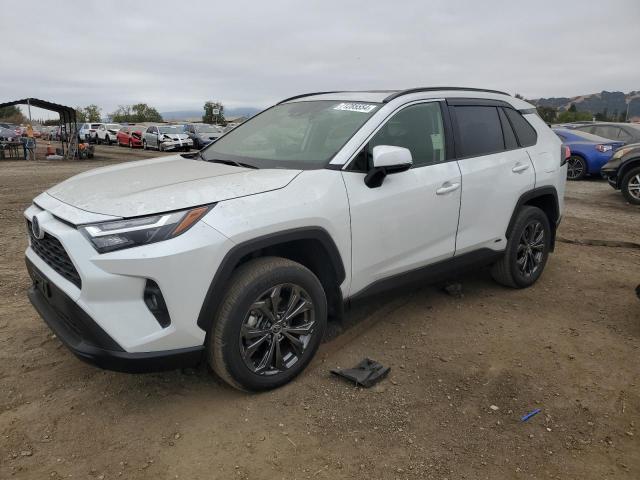 TOYOTA RAV4 XLE P 2023 jtmb6rfv5pd091283