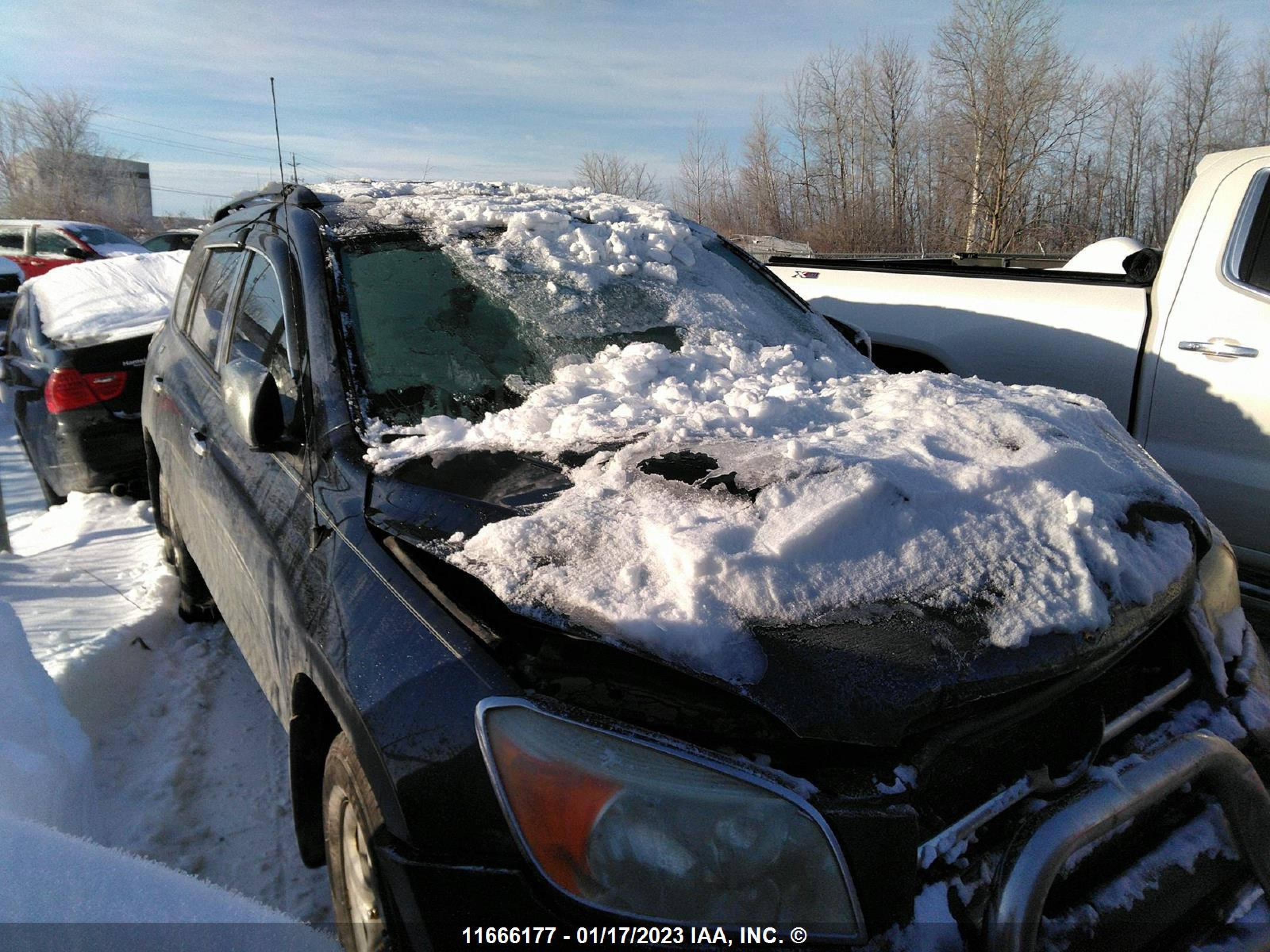 TOYOTA RAV 4 2006 jtmbd33v466007299