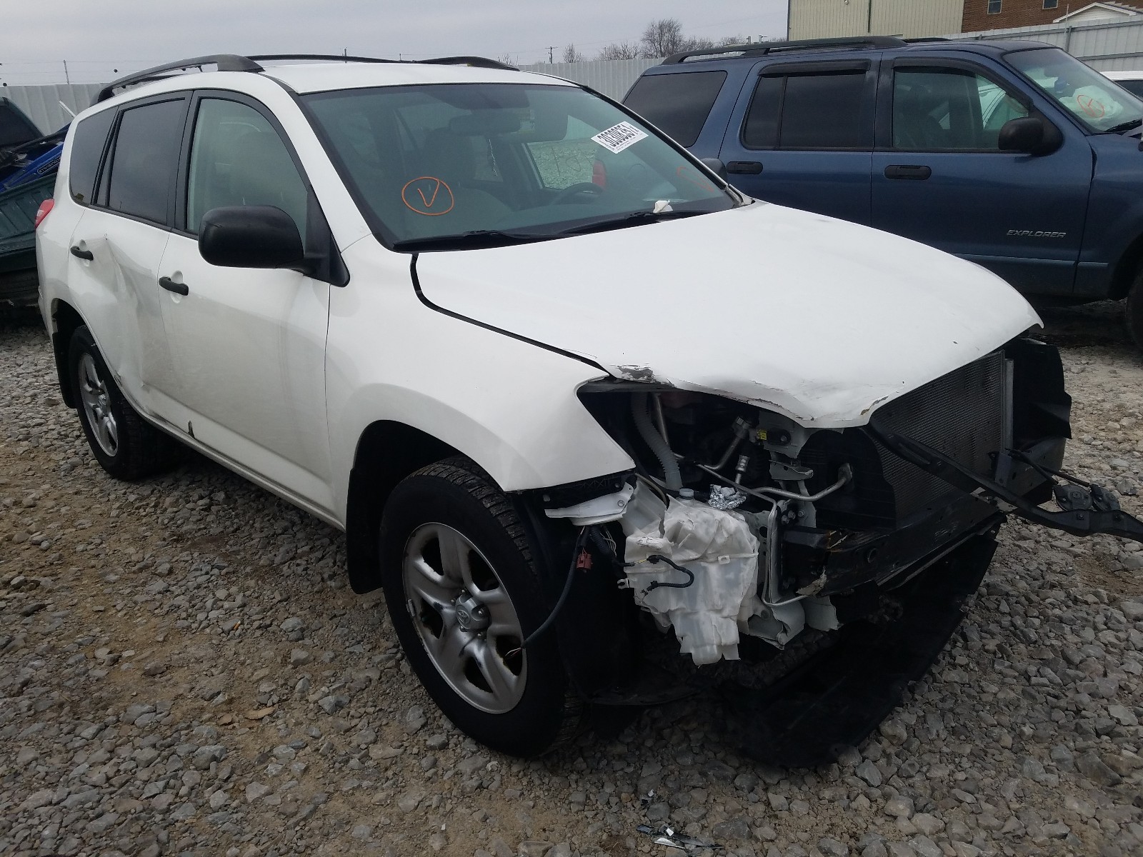 TOYOTA RAV4 2009 jtmbf33v19d018772