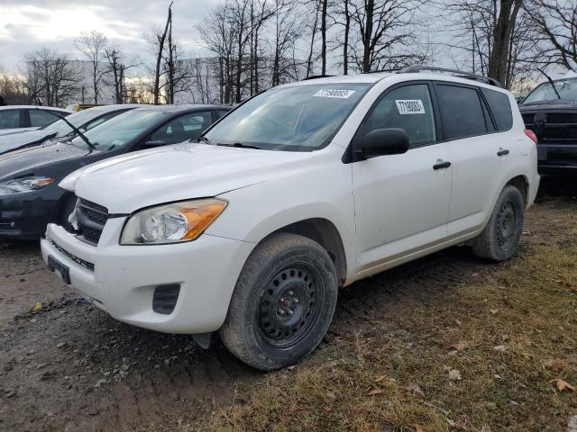 TOYOTA RAV4 2009 jtmbf33v495011311