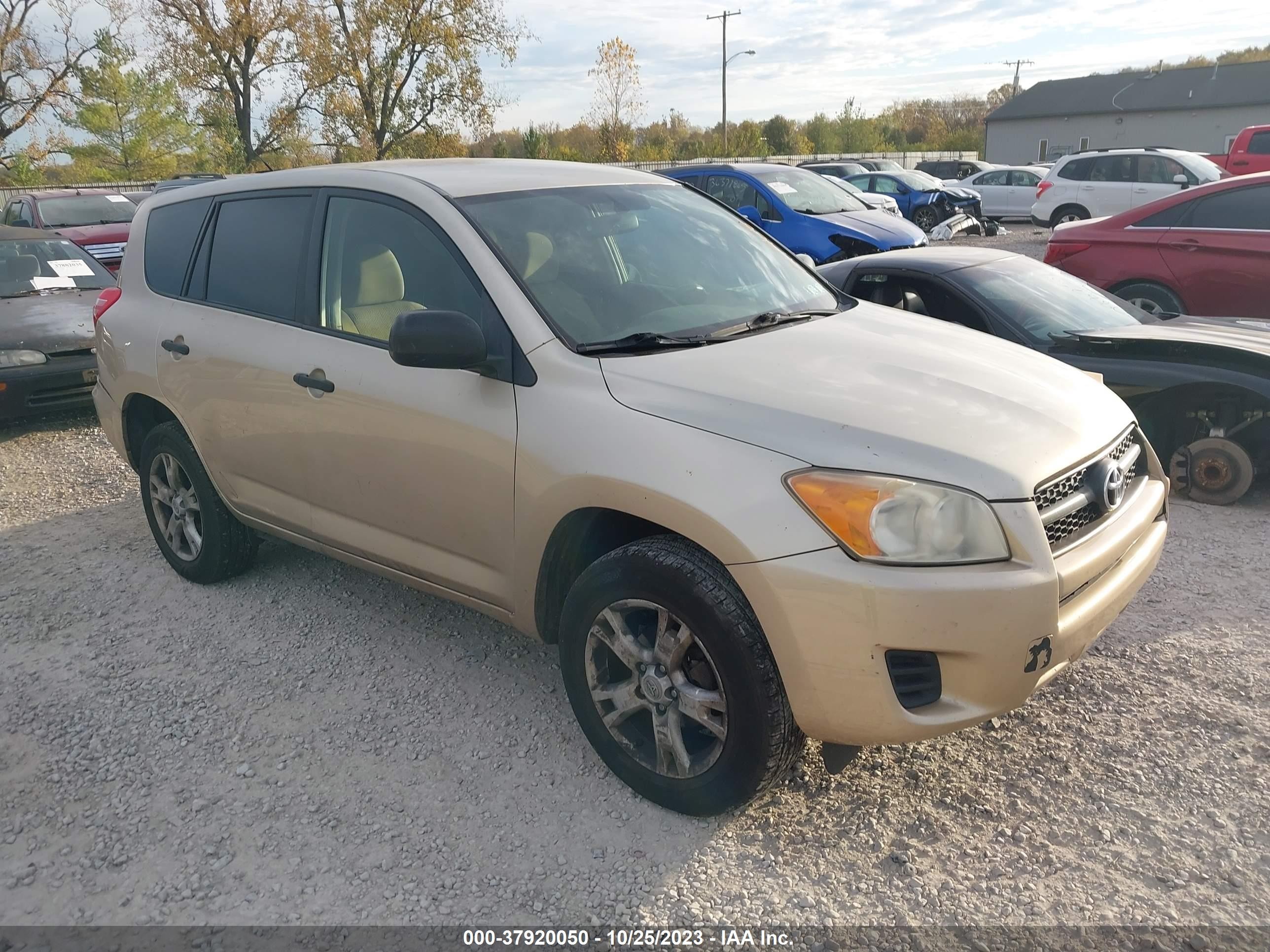 TOYOTA RAV 4 2010 jtmbf4dv0a5017468