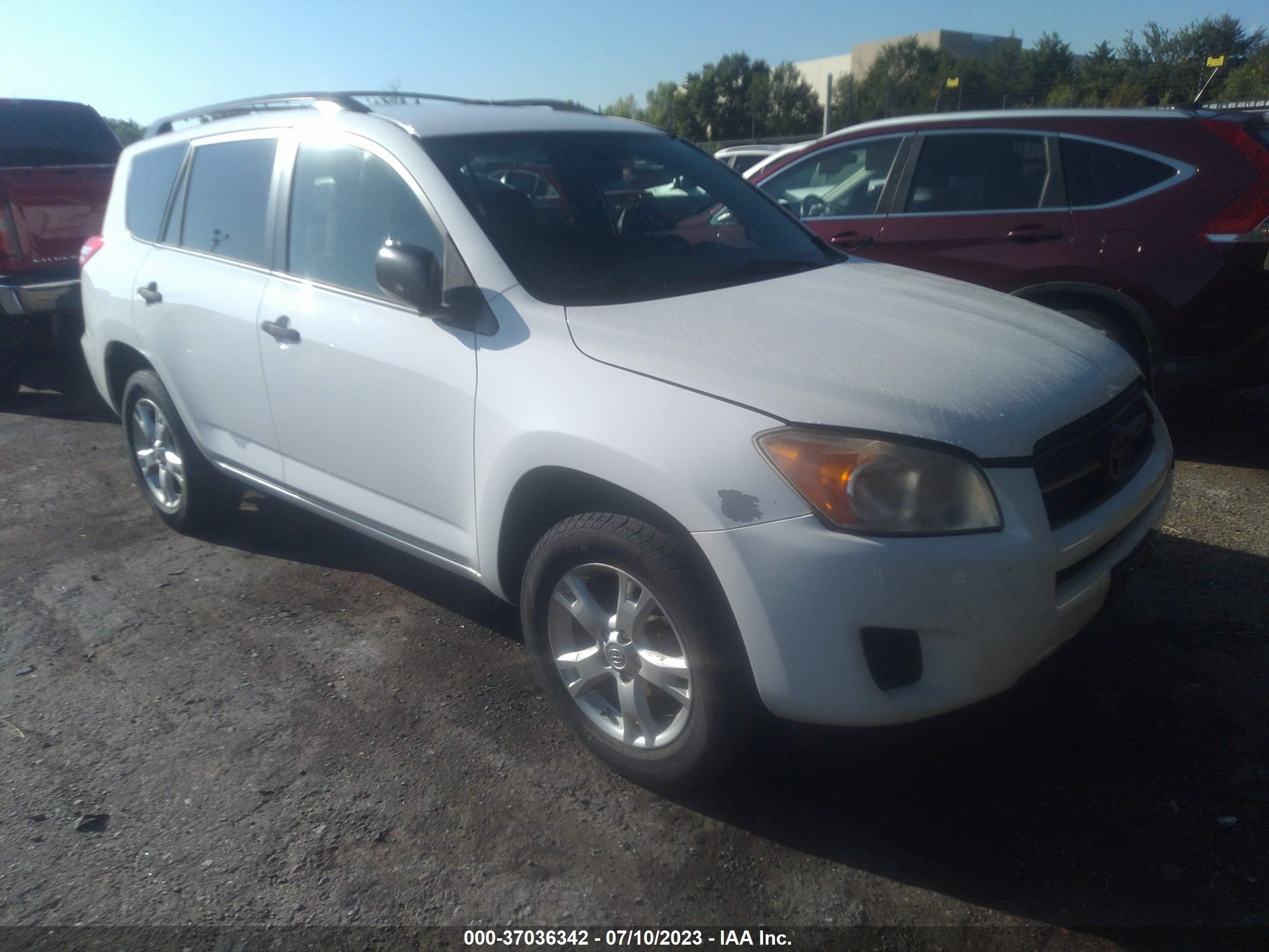 TOYOTA RAV 4 2010 jtmbf4dv0a5019365