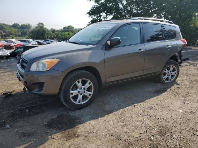 TOYOTA RAV4 2011 jtmbf4dv4bd042848