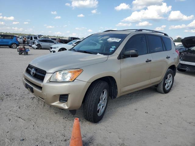 TOYOTA RAV4 2010 jtmbf4dvxad023302