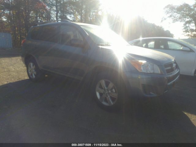 TOYOTA RAV4 2010 jtmbf4dvxad024157