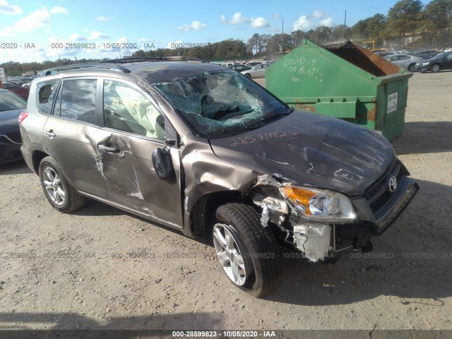 TOYOTA RAV4 2012 jtmbf4dvxcd044119