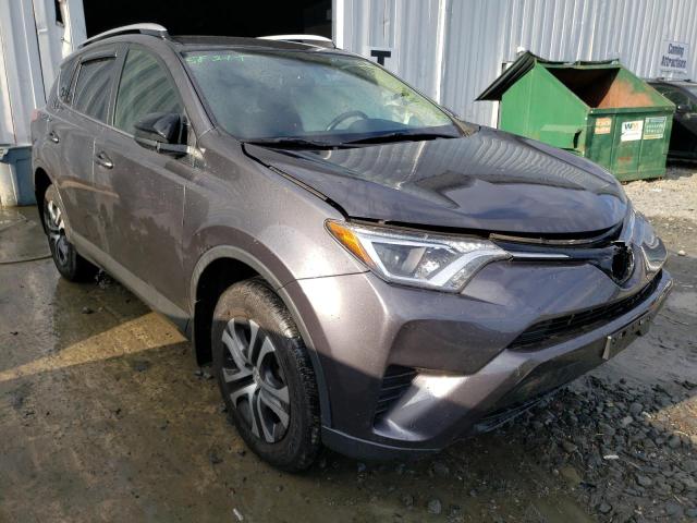 TOYOTA RAV4 LE 2016 jtmbfrev0gj056363