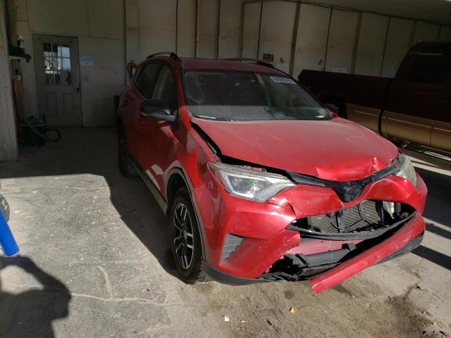 TOYOTA RAV4 LE 2016 jtmbfrev2gj073004