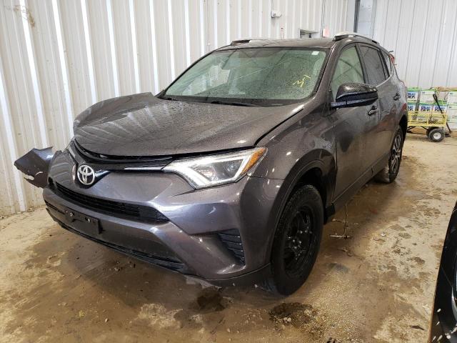 TOYOTA RAV4 LE 2016 jtmbfrev3gj089308