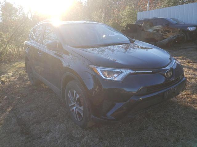 TOYOTA RAV4 LE 2017 jtmbfrev4hj158587