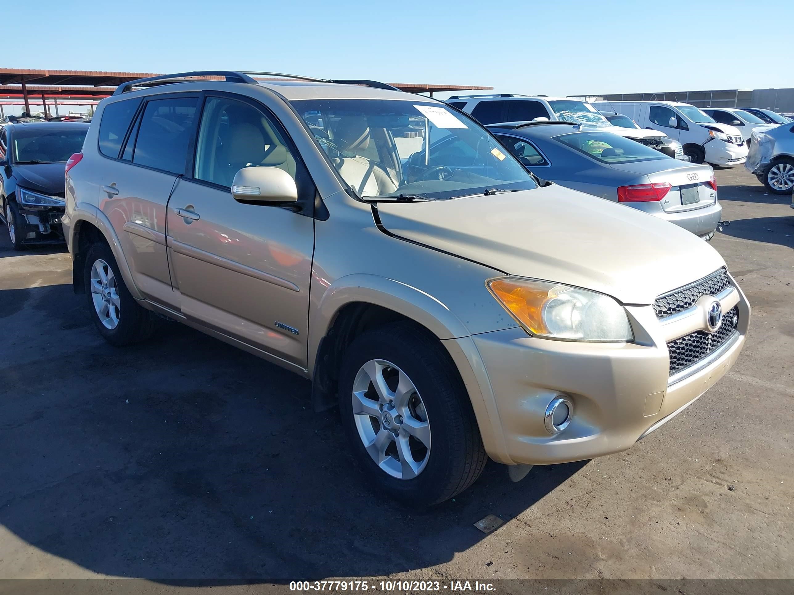 TOYOTA RAV 4 2009 jtmbk31v095074601