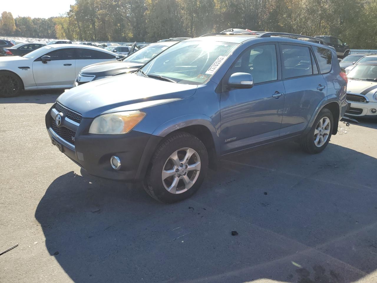 TOYOTA RAV 4 2009 jtmbk31v19d003011