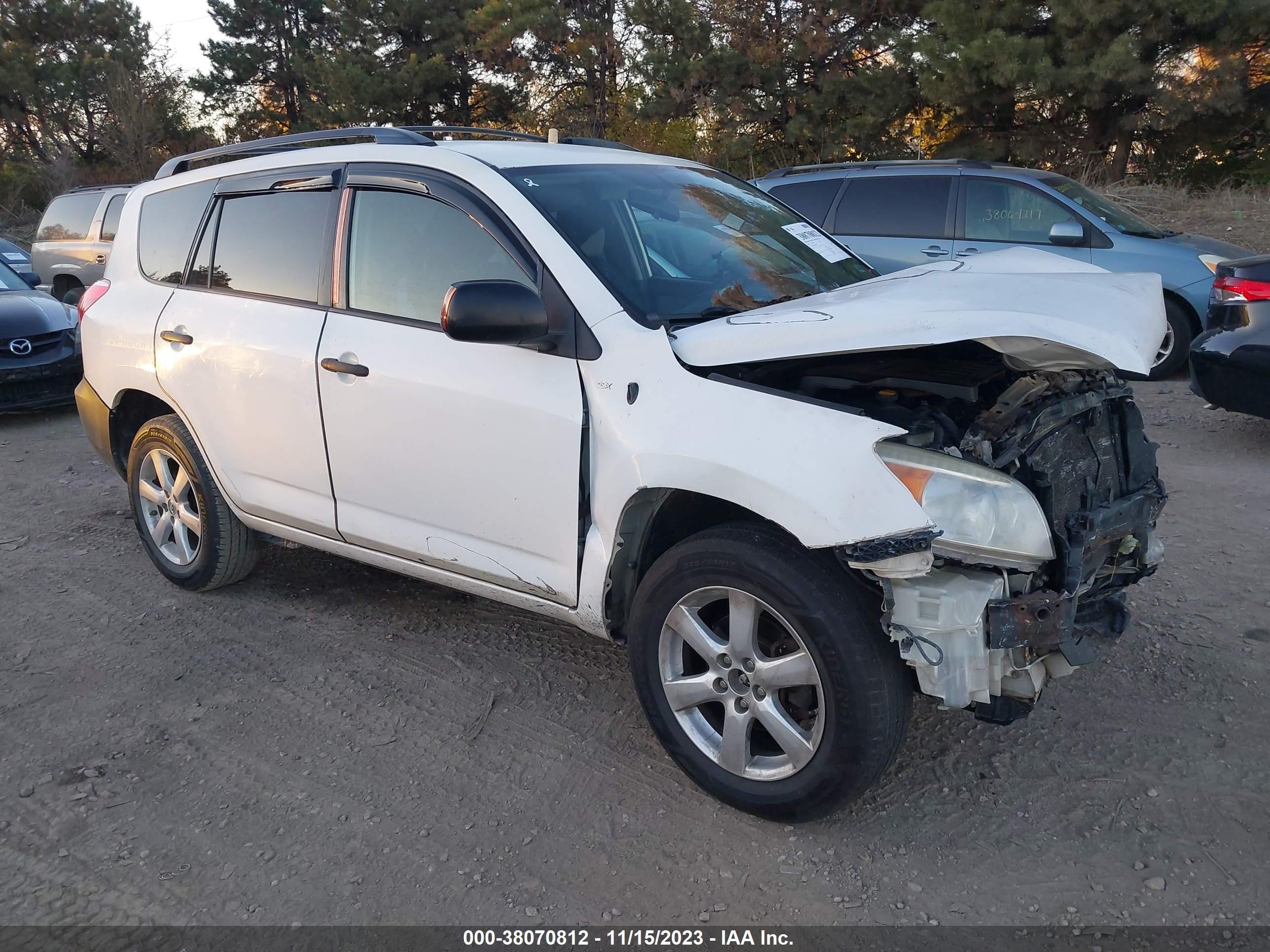 TOYOTA RAV 4 2006 jtmbk33v065007084