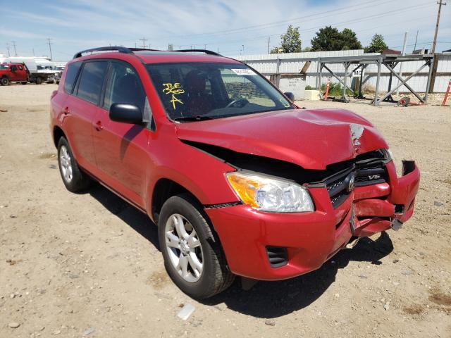 TOYOTA RAV4 2012 jtmbk4dv8cd019425