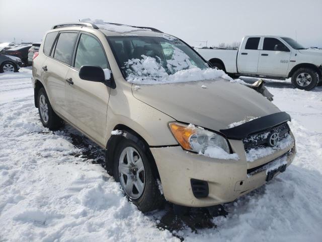 TOYOTA RAV4 2010 jtmbk4dv9ad012352