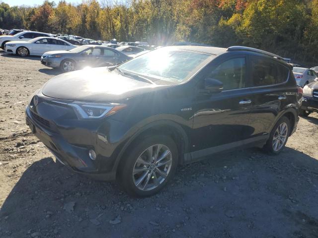 TOYOTA RAV4 HV LI 2017 jtmdjrev0hd147964