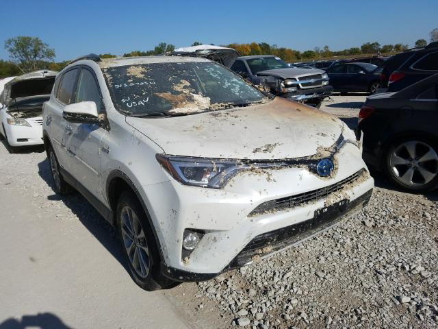 TOYOTA RAV4 HV LI 2017 jtmdjrev5hd134823