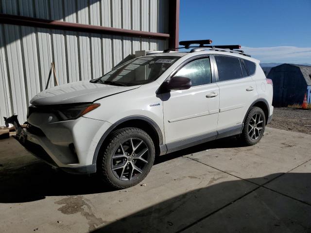 TOYOTA RAV4 2017 jtmjjrevxhd075870