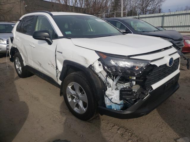 TOYOTA RAV4 LE 2019 jtmlwrfv2kd012326