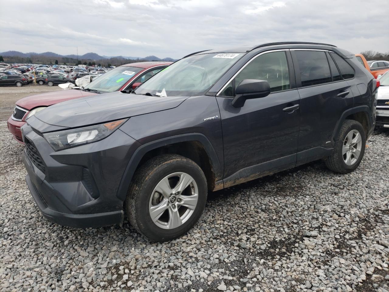 TOYOTA RAV 4 2020 jtmlwrfv3ld068793