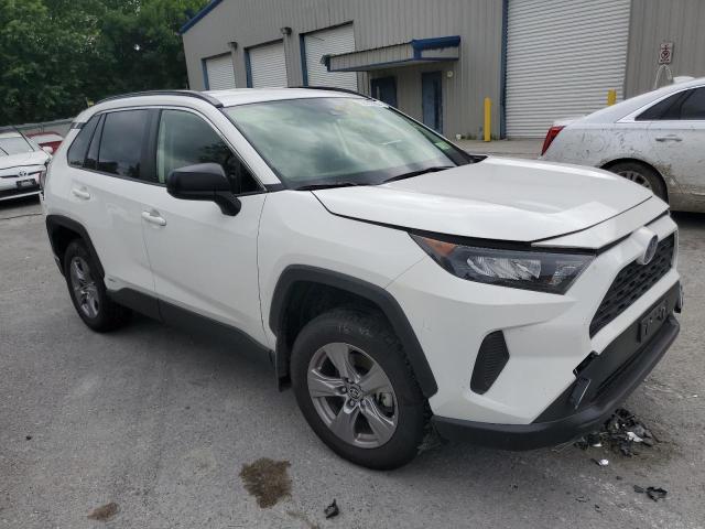 TOYOTA RAV4 LE 2022 jtmlwrfv9nd144181