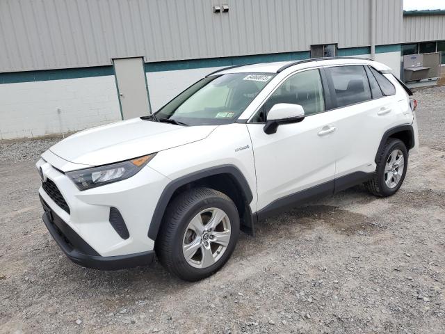 TOYOTA RAV4 LE 2019 jtmmwrfv3kd516873