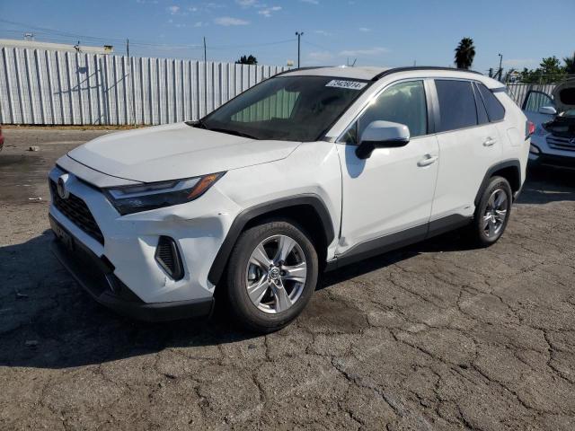 TOYOTA RAV4 LE 2023 jtmmwrfv3pd196056