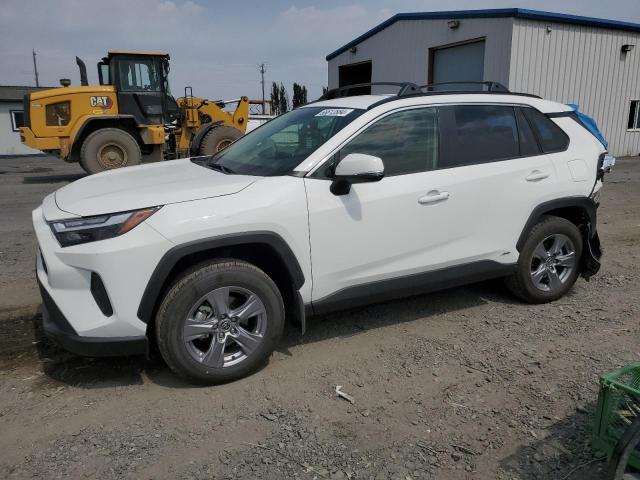 TOYOTA RAV4 LE 2024 jtmmwrfv5rd227326